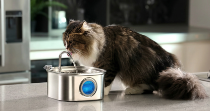 Pfellquelle AquaFlow